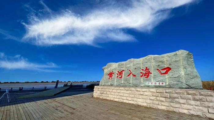 △黃河入?？谖挥谏綎|東營市墾利區(qū)。(總臺央視記者彭漢明拍攝)