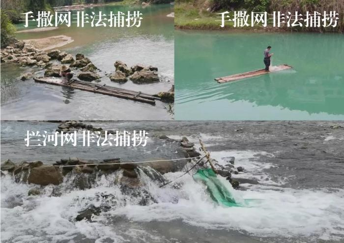 2021年9—10月，前期暗查發(fā)現(xiàn)，保護(hù)區(qū)核心區(qū)內(nèi)非法捕撈行為十分猖獗