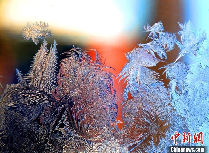 惟妙惟肖的冰窗花，似一幅風景畫。　孫書程 攝