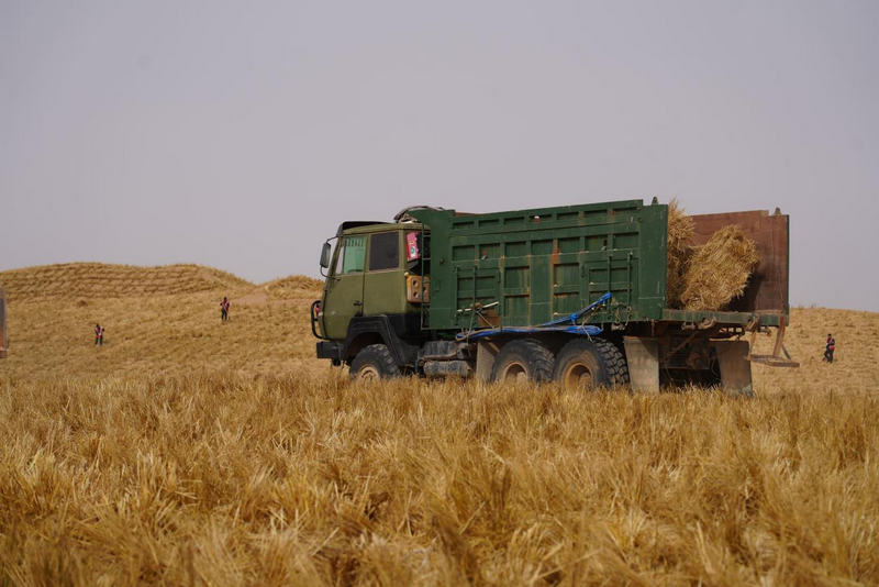 阿拉善運輸?shù)静?png