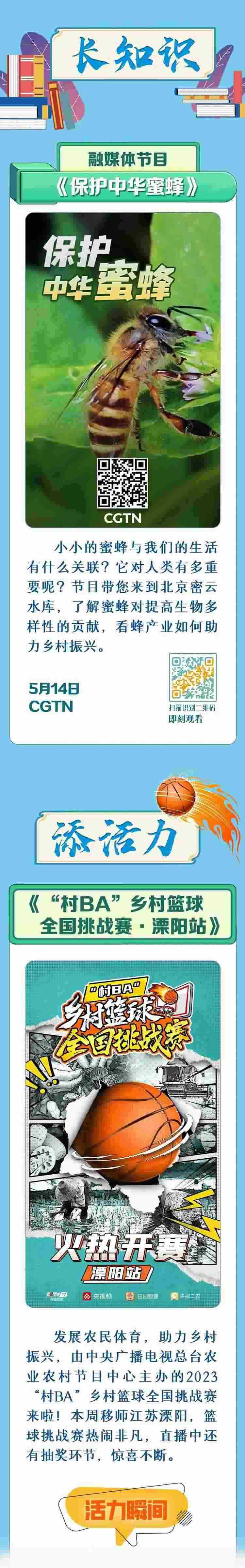 總臺周看點，來了！