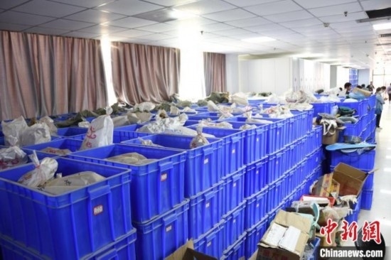 圖為待清理的骨骼標本。王宇 攝