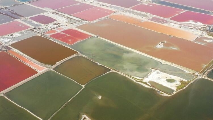 鑒往知來，跟著總書記學(xué)歷史丨走進(jìn)一座博物館，尋根五千年中華文明