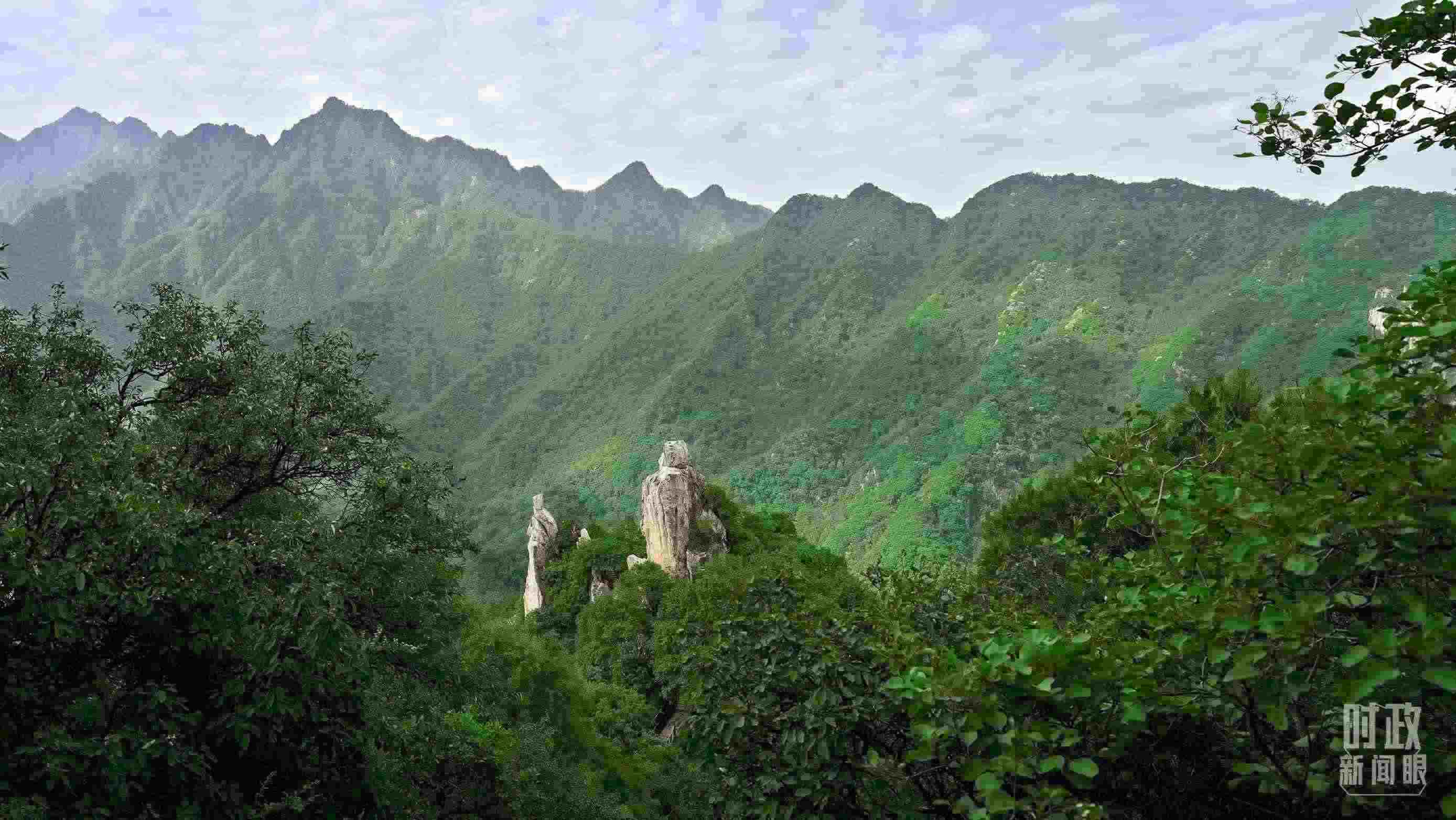 △秦嶺。（圖／視覺中國）