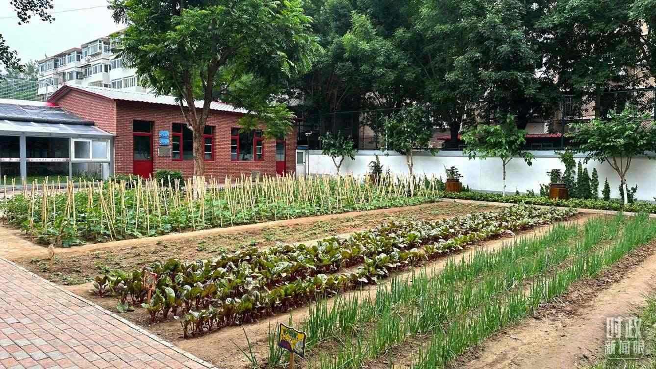 △學(xué)生農(nóng)場(chǎng)。（總臺(tái)央視記者趙化拍攝）