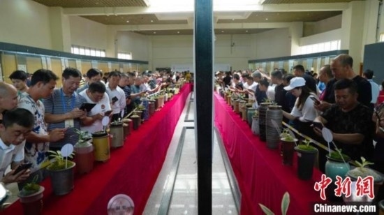 圖為活動現(xiàn)場。 云南省委臺辦供圖