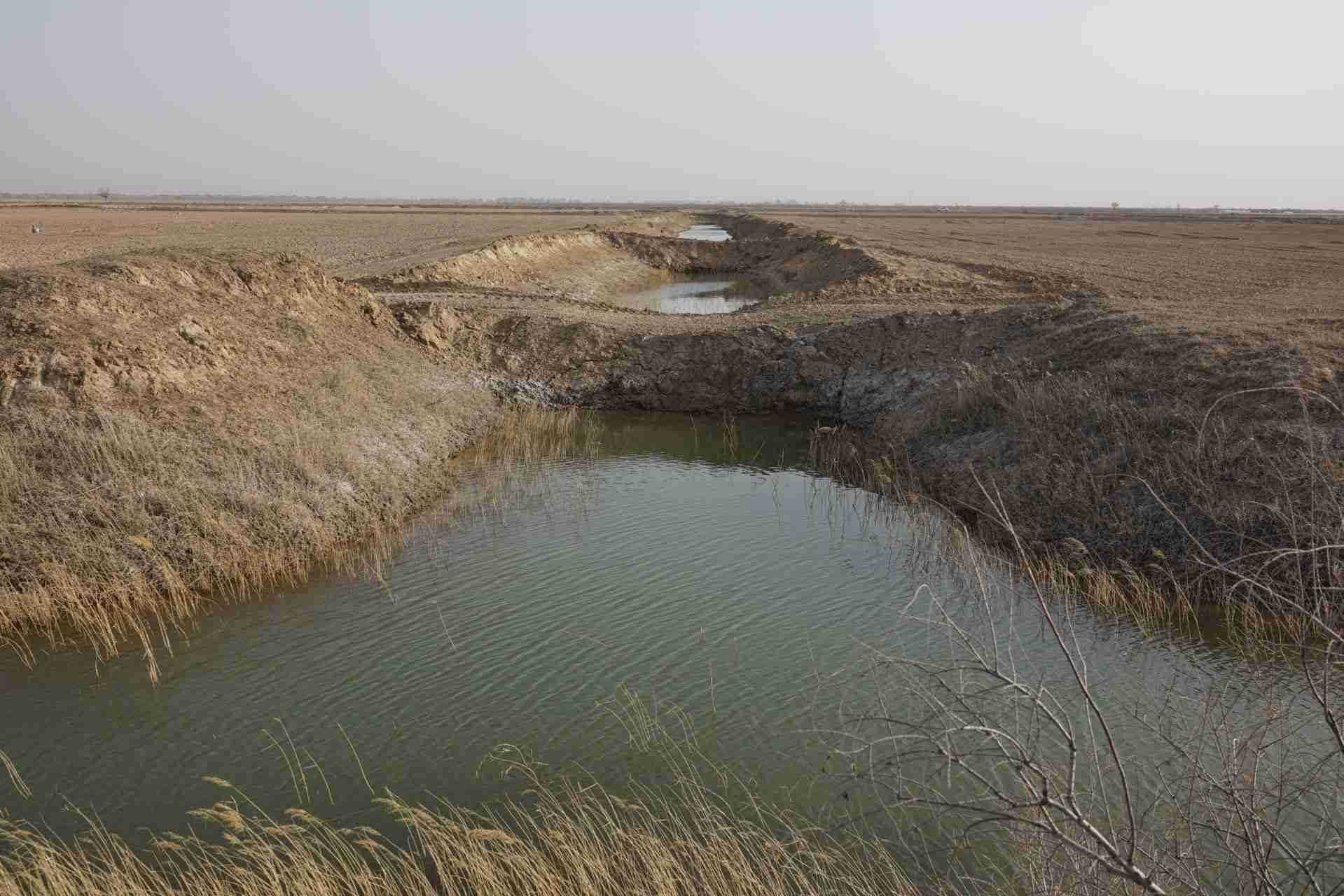 堵塞的排堿渠。 人民網(wǎng)記者 游天燚攝