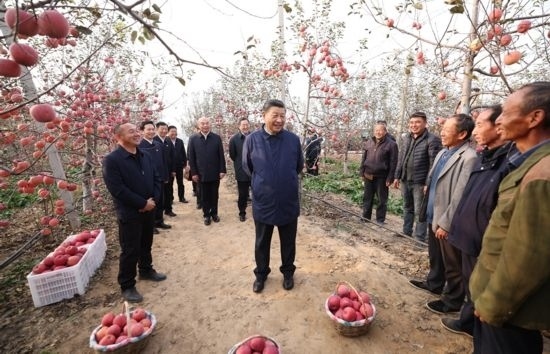 2022年10月26日，習(xí)近平總書記在陜西省延安市安塞區(qū)高橋鎮(zhèn)南溝村蘋果園同老鄉(xiāng)們親切交流。