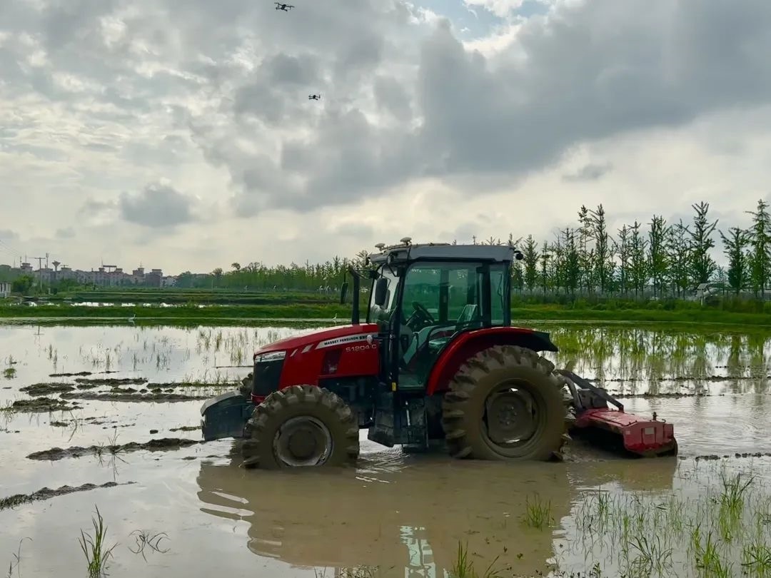浙江省金華市東陽(yáng)市城東街道寀盧村的一臺(tái)無(wú)人駕駛耕地機(jī)。靜玄 攝