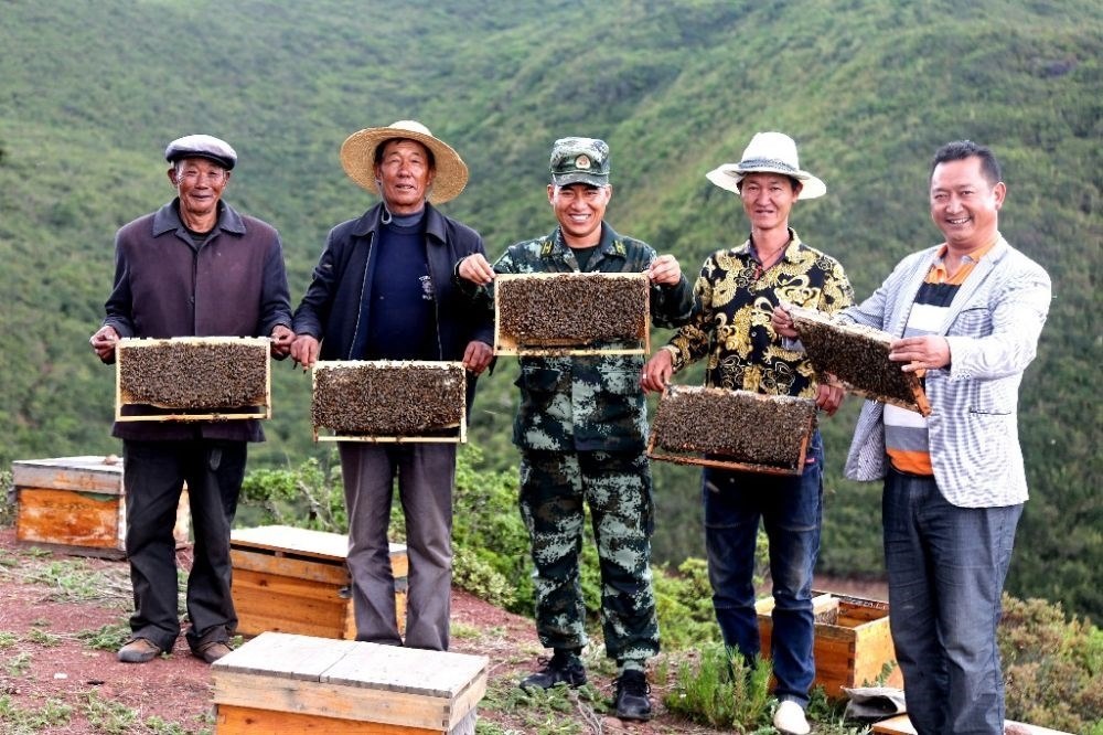 ↑武警四川總隊(duì)涼山支隊(duì)精準(zhǔn)幫扶昭覺縣梭梭拉打村發(fā)展養(yǎng)蜂產(chǎn)業(yè)，總隊(duì)駐村扶貧干部布哈（中）和村民一同展示豐收成果（2019年6月12日攝）。新華社發(fā)（楊劍 攝）