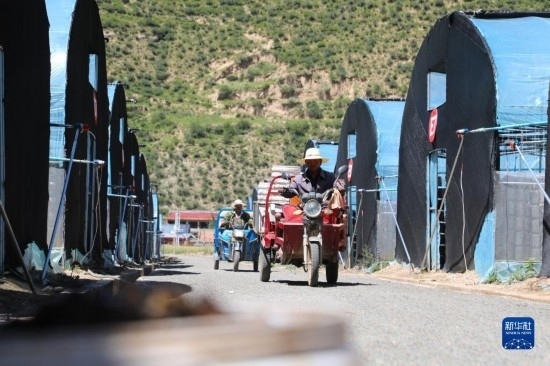 7月29日，農(nóng)戶(hù)在卓尼縣納浪鎮(zhèn)納浪村黑木耳種植基地勞作。