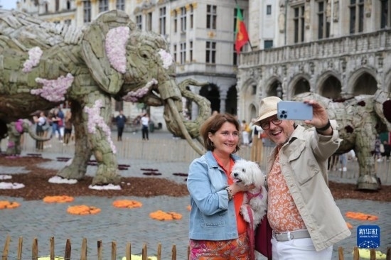 8月11日，觀眾在比利時布魯塞爾“鮮花時光”展覽上拍照。新華社記者 趙丁喆攝