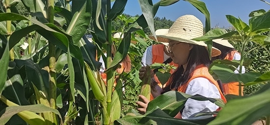 北京工商大學(xué)組織學(xué)生開展暑期社會(huì)實(shí)踐。學(xué)校供圖