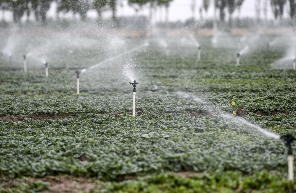 2023年5月25日，在寧夏銀川市永寧縣望洪鎮(zhèn)宋澄村冷涼蔬菜種植基地，小型噴灌節(jié)水設(shè)備在進行噴灌作業(yè)。新華社記者 馮開華 攝