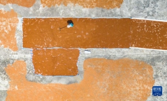 9月16日，農(nóng)民在貴州省安順市西秀區(qū)大西橋鎮(zhèn)吉昌村晾曬高粱（無人機(jī)照片）。