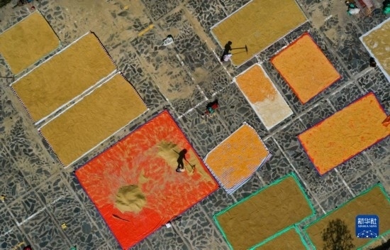 9月16日，貴州省黔東南苗族侗族自治州丹寨縣南皋鄉(xiāng)石橋村村民在晾曬農(nóng)作物（無人機(jī)照片）。