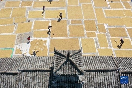 9月16日，村民在貴州省黔東南苗族侗族自治州從江縣剛邊壯族鄉(xiāng)三聯(lián)村晾曬稻谷（無人機(jī)照片）。