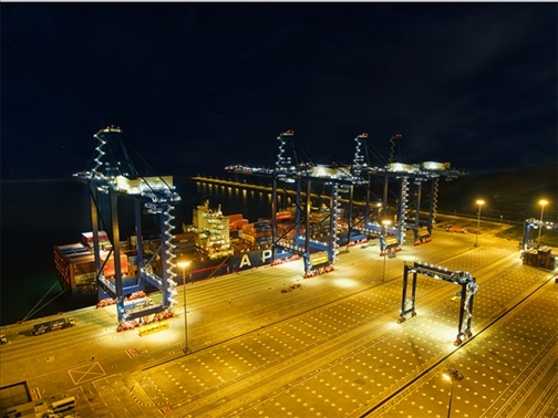 萊基港實(shí)行7×24小時(shí)裝卸作業(yè)機(jī)制。受訪者供圖