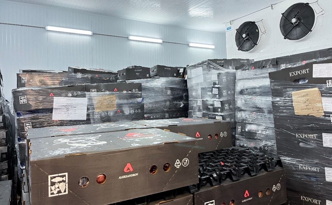 恒溫冷庫中，包裝好的牛肉等待發(fā)往中國。人民網(wǎng)記者 朱虹攝