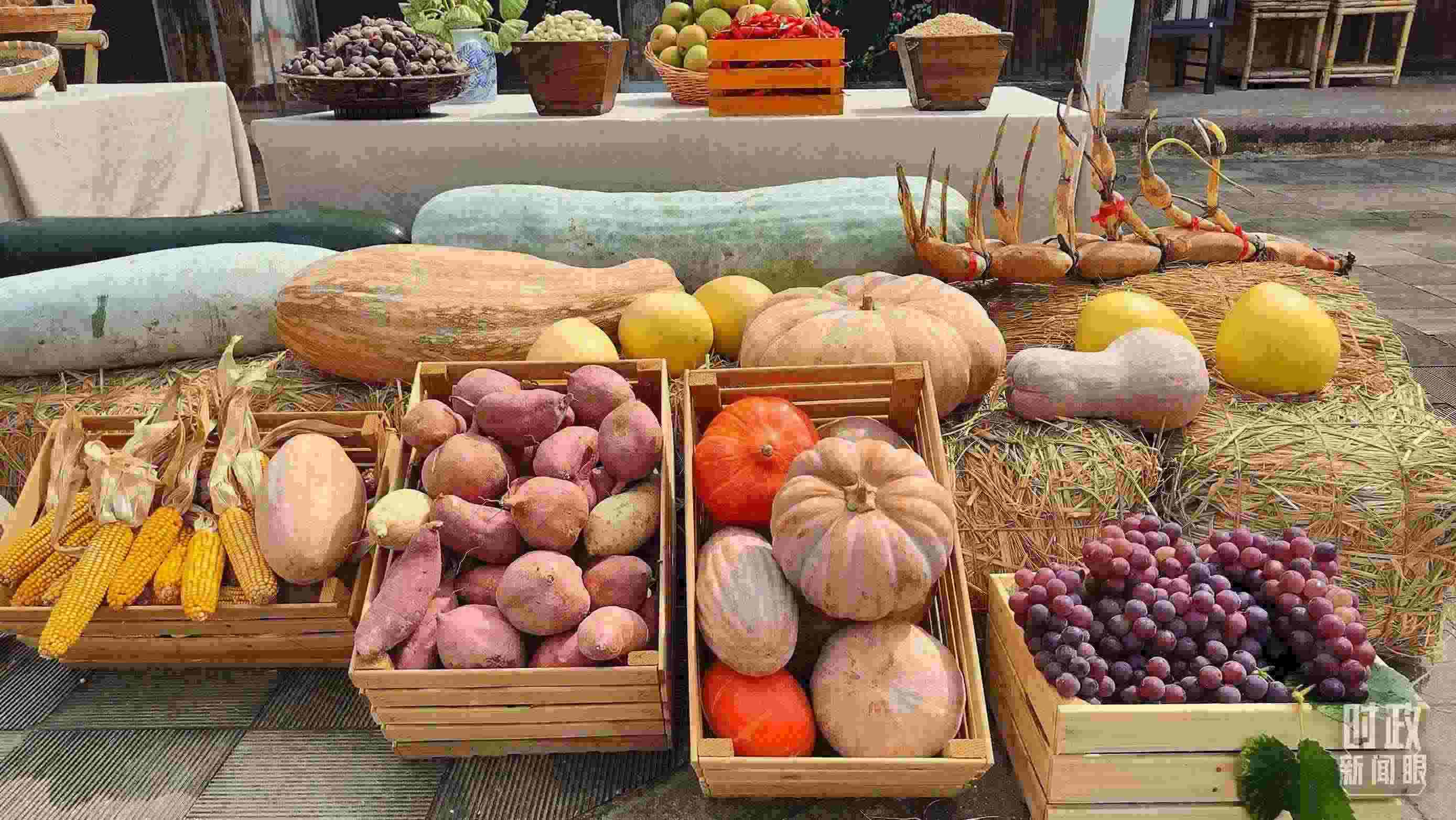 △村廣場“共富市集”，擺放著種類豐富的特色農(nóng)產(chǎn)品。（總臺央視記者楊立峰拍攝）