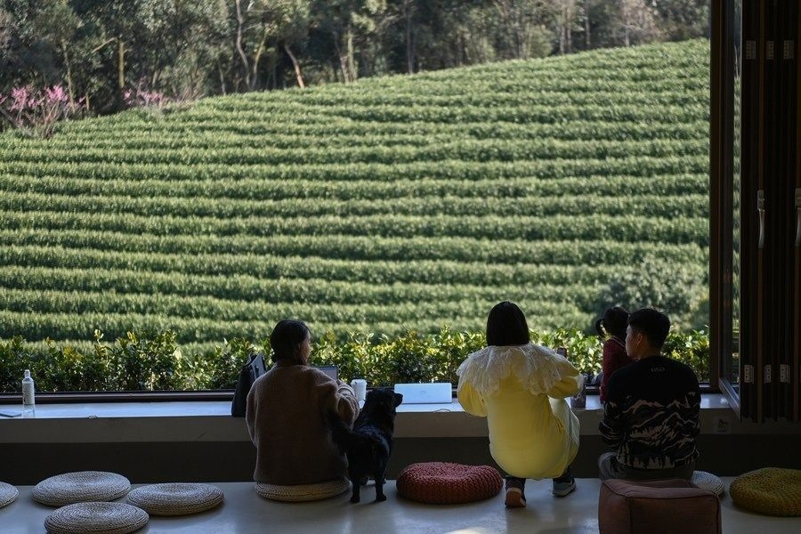 游客在浙江省安吉縣黃杜村萬(wàn)畝茶園邊的咖啡館休閑（2023年2月21日攝）。