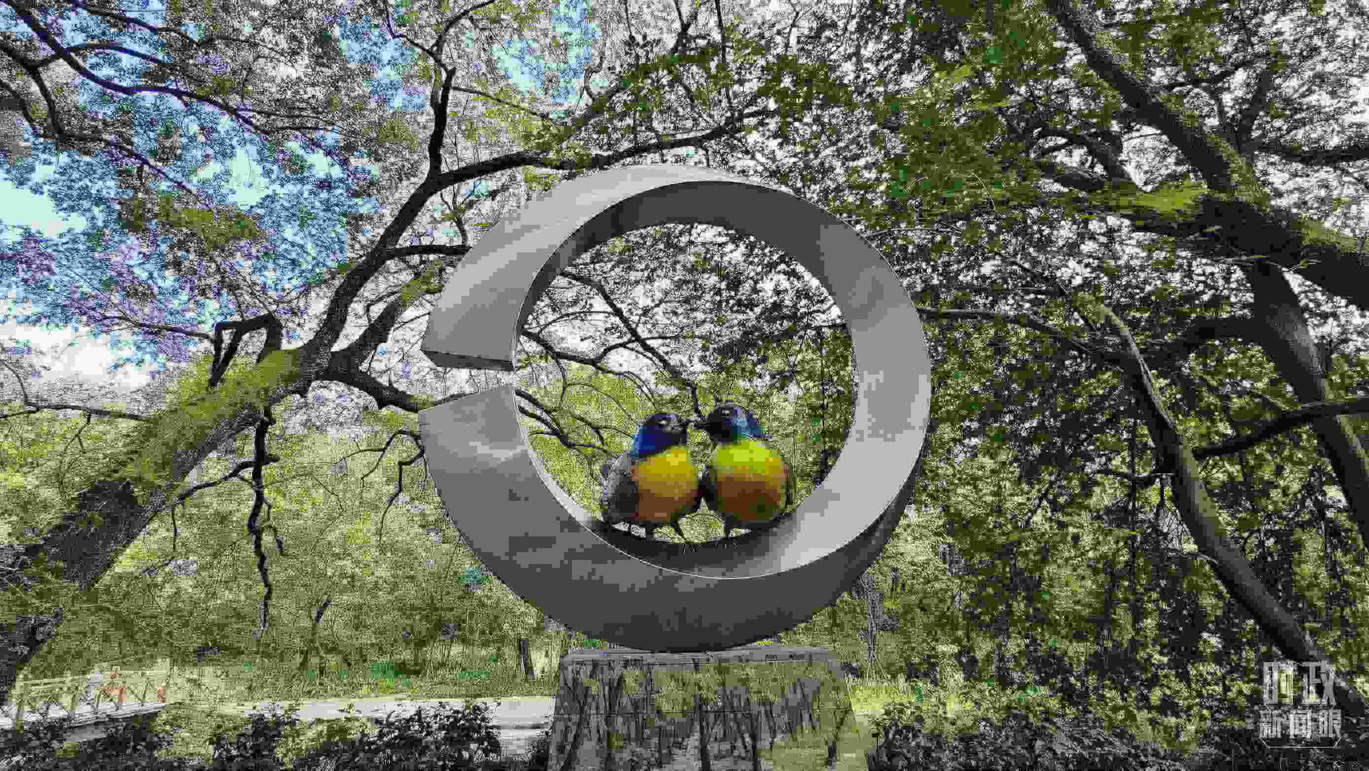 △石門村里的藍(lán)冠噪鹛雕像。（總臺央視記者許永松拍攝）