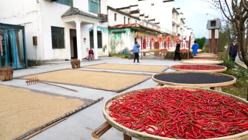近日拍攝的江西省上饒市婺源縣秋口鎮(zhèn)王村石門自然村。新華社記者 胡晨歡 攝