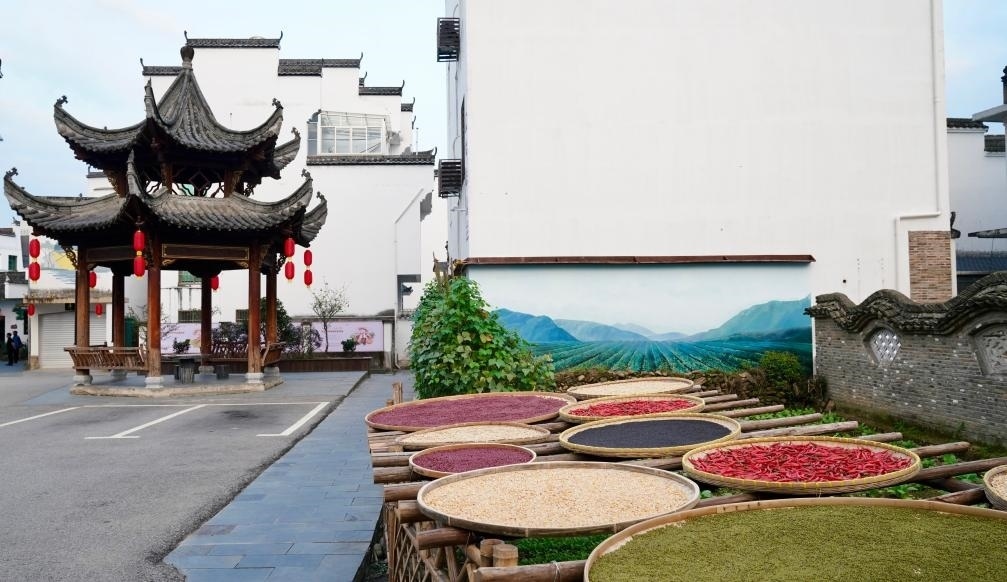 近日拍攝的江西省上饒市婺源縣秋口鎮(zhèn)王村石門自然村曬秋場景。新華社記者 胡晨歡 攝