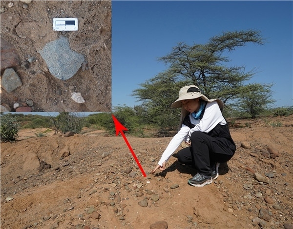 地層中的勒瓦婁哇石片。中肯聯(lián)合考古隊(duì)供圖