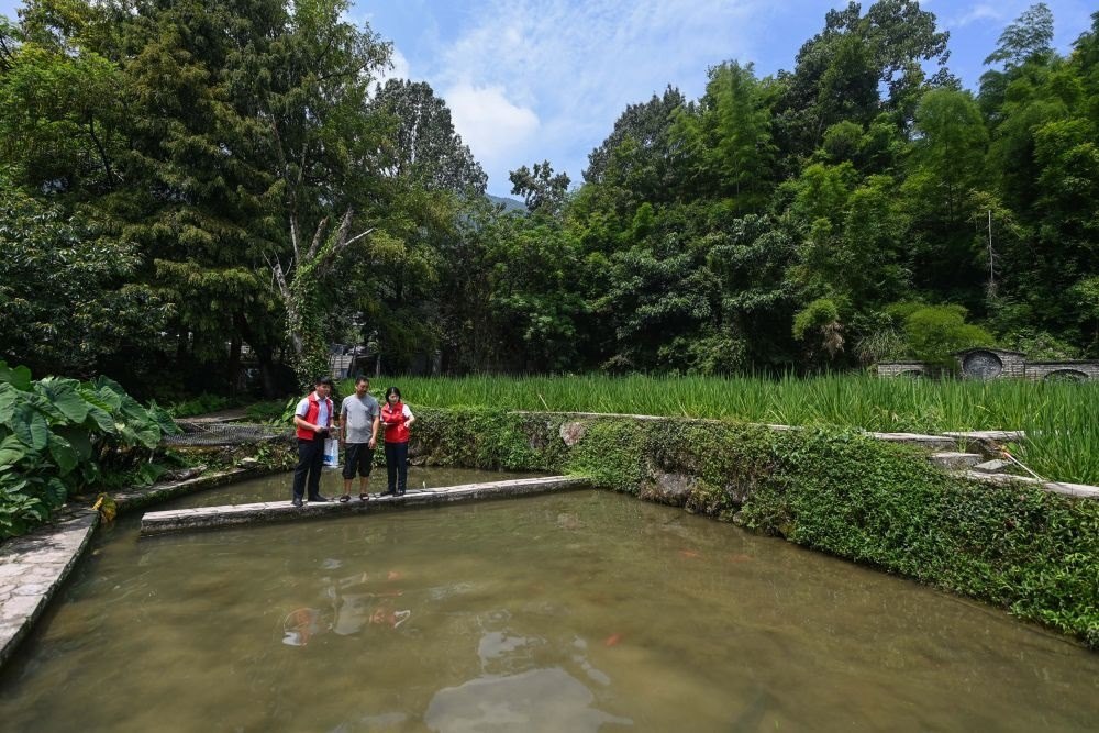 2023年8月17日，浙江省麗水市青田縣方山鄉(xiāng)田魚(yú)養(yǎng)殖戶吳勇強(qiáng)（中）在接受青田農(nóng)商銀行“小蜻蜓”服務(wù)隊(duì)志愿者提供的“惠民易貸”上門(mén)服務(wù)。近年來(lái)，青田縣金融發(fā)展中心聯(lián)合各個(gè)金融機(jī)構(gòu)優(yōu)化配套鄉(xiāng)村振興金融服務(wù)，推出“惠民易貸”“農(nóng)家樂(lè)貸”等金融產(chǎn)品，重點(diǎn)支持涉農(nóng)龍頭企業(yè)及特色種養(yǎng)殖產(chǎn)業(yè)。新華社記者 徐昱 攝