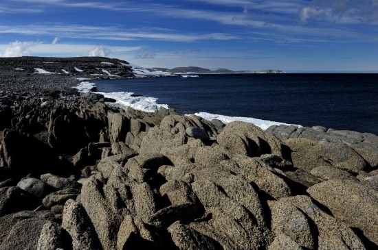 羅斯海恩克斯堡島的夏季風光。新華社記者 張建松 攝