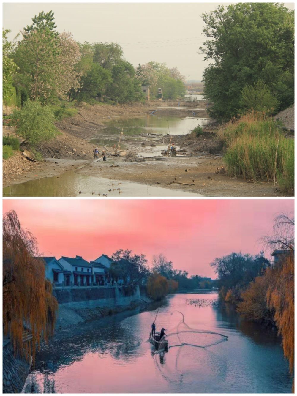 江蘇省揚(yáng)州市江都區(qū)明清運河故道整治前后。（上圖：2012年；下圖：2020年）（孫友定 攝）