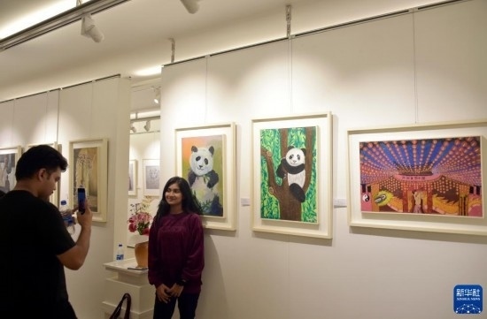 11月22日，在孟加拉國達(dá)卡，人們在“國家印象”繪畫展上參觀拍照。新華社發(fā)（薩利姆攝）