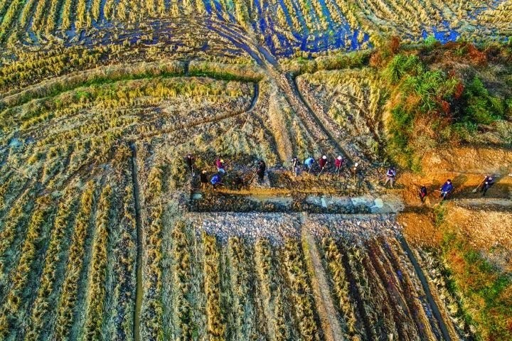 良渚遺址考古發(fā)掘現(xiàn)場(chǎng)。