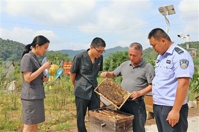  圖②：蒙山法院黃村法庭法官深入蜂蜜合作社，實(shí)地了解蜂農(nóng)需求。
