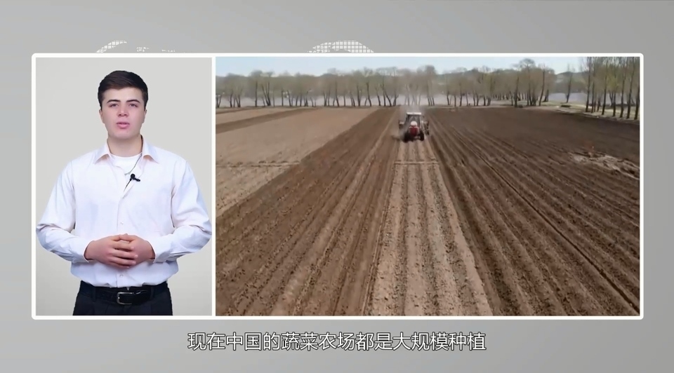 【國際3分鐘】中國大蒜成國家威脅？美政客反智言論背后的問題值得思考_fororder_2