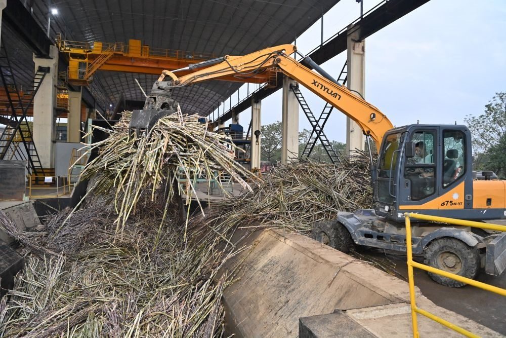 12月14日，在廣西來賓東糖鳳凰有限公司，員工操作機械將甘蔗投入傳送帶，準備送往壓榨車間。