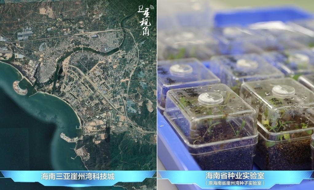 位于三亞崖州灣科技城的海南省種業(yè)實(shí)驗(yàn)室（原海南省崖州灣種子實(shí)驗(yàn)室）將形成輻射全國(guó)和“一帶一路”沿線國(guó)家的種子科學(xué)技術(shù)創(chuàng)新中心。
