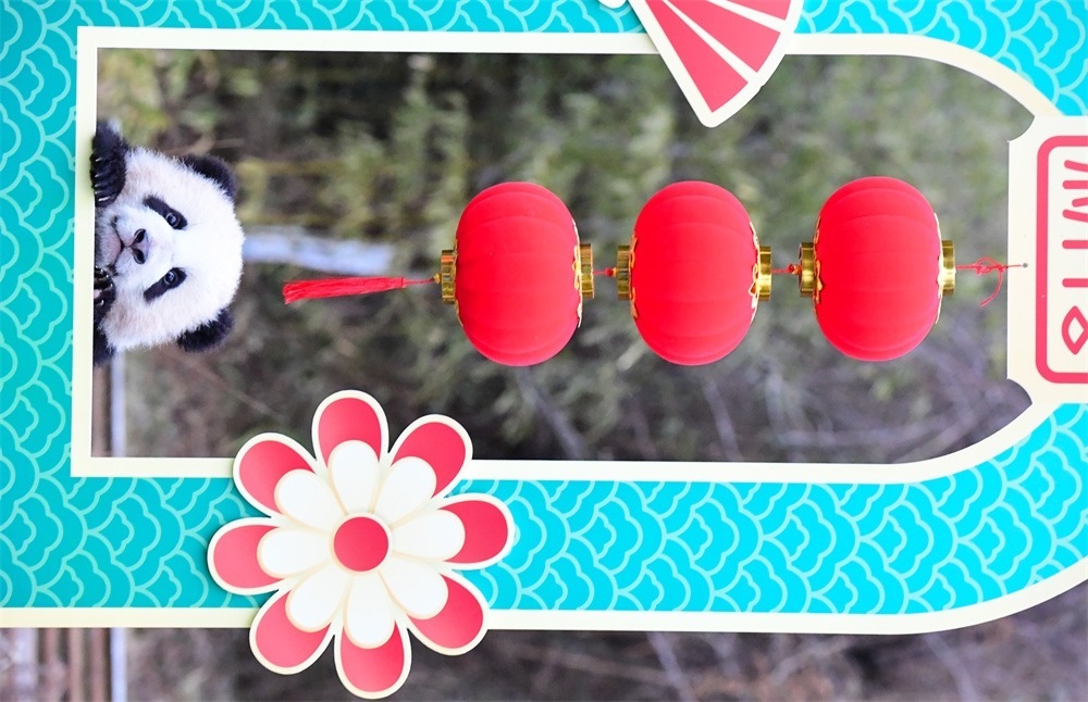 熊貓寶寶賀新春