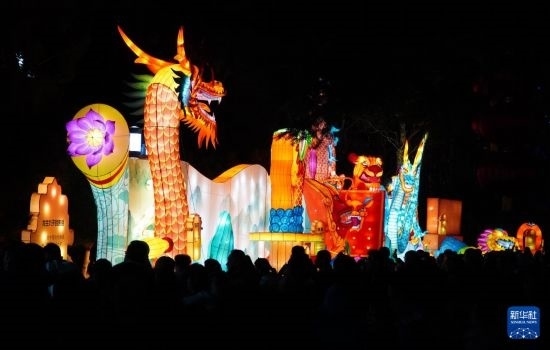 2月11日晚，人們在濟(jì)南市趵突泉公園觀賞花燈。