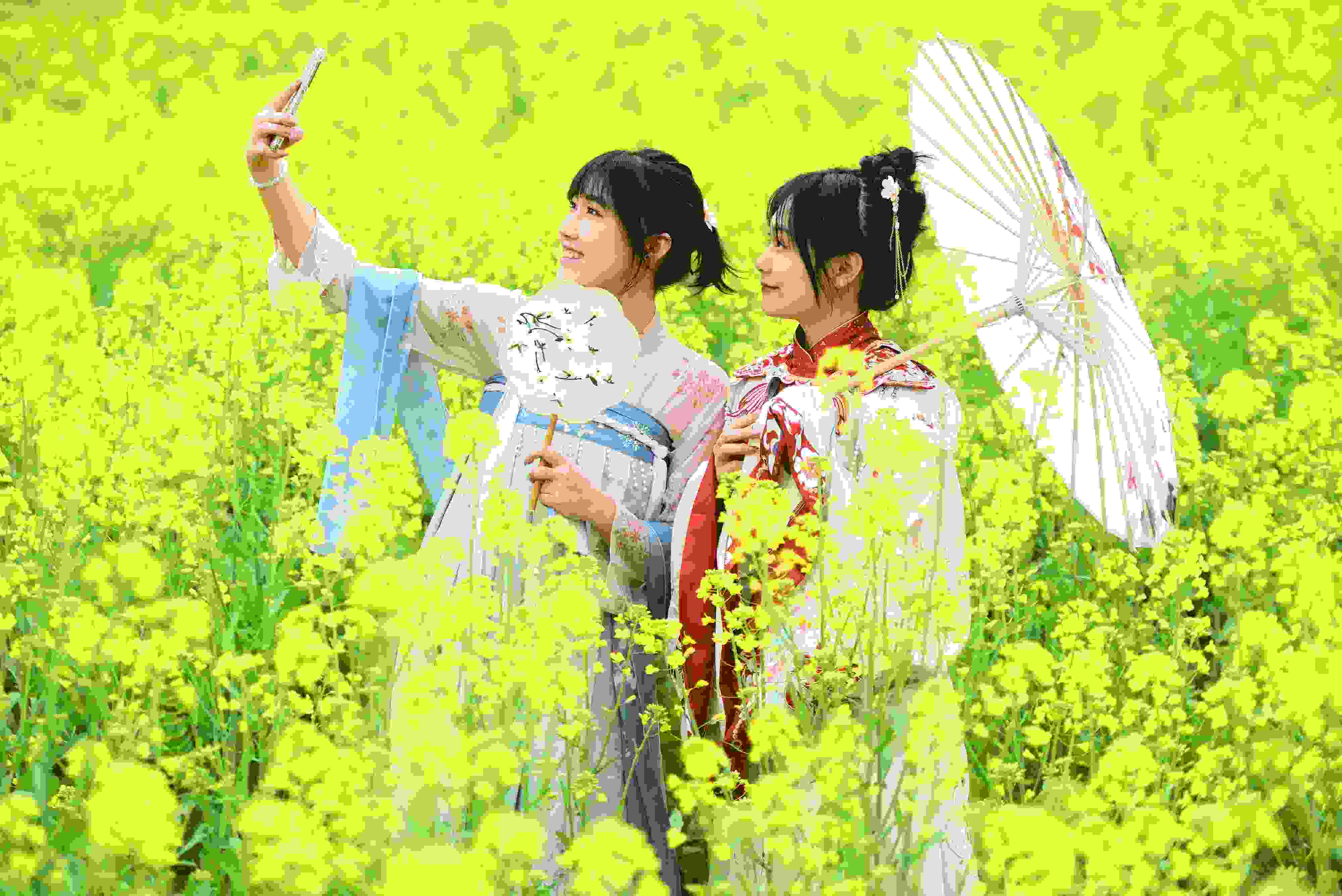 △ 2024年2月16日，廣西賀州，在富川瑤族自治縣麥嶺鎮(zhèn)三民村，游客在油菜花田間賞花拍照。