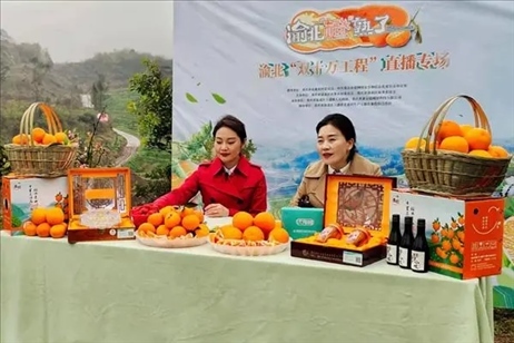 2021年2月26日，在重慶渝北區(qū)大盛鎮(zhèn)青龍村舉辦的直播活動(dòng)現(xiàn)場(chǎng)。