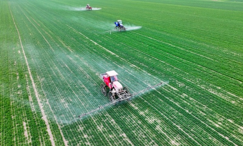 2024年2月18日，安徽省亳州市，利辛縣紀(jì)王場(chǎng)鄉(xiāng)孫老家村麥田，農(nóng)民駕駛自走式高桿噴霧機(jī)對(duì)小麥進(jìn)行噴藥作業(yè)。