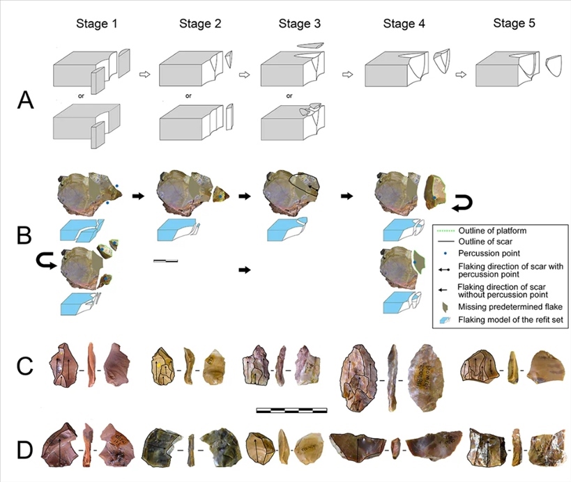 岑家灣遺址“準備石核技術(shù)”及相關(guān)石制品。（受訪單位供圖）