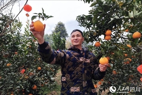 鐵牛村村民趙光進(jìn)。人民網(wǎng)記者 朱虹攝