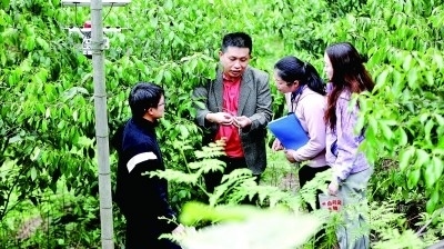 分得宜春地 東偏一畫屏——江西省分宜縣院地共促科研轉化助推鄉(xiāng)村振興