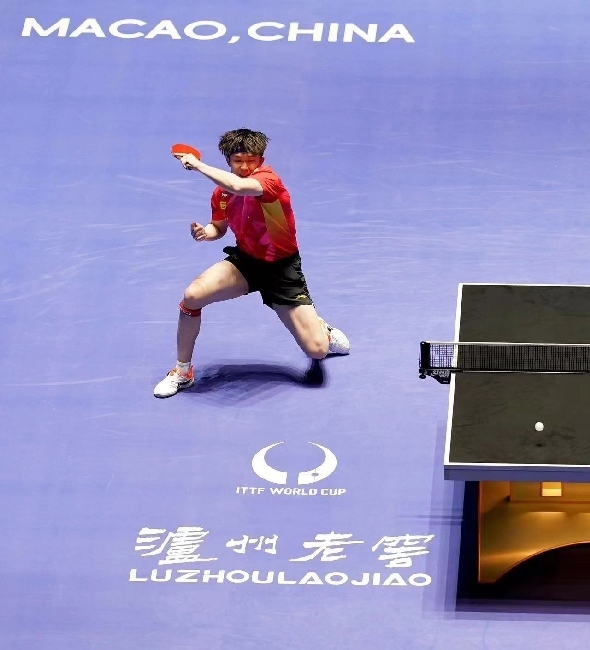 王楚欽在比賽中。賽事方供圖