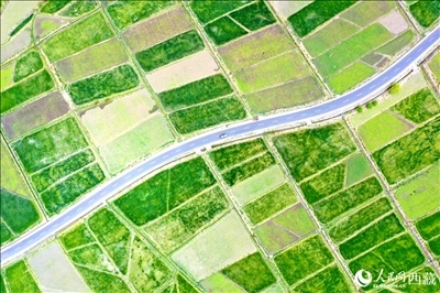 無人機(jī)視角下的西藏山南市瓊結(jié)農(nóng)田。人民網(wǎng)記者 次仁羅布攝