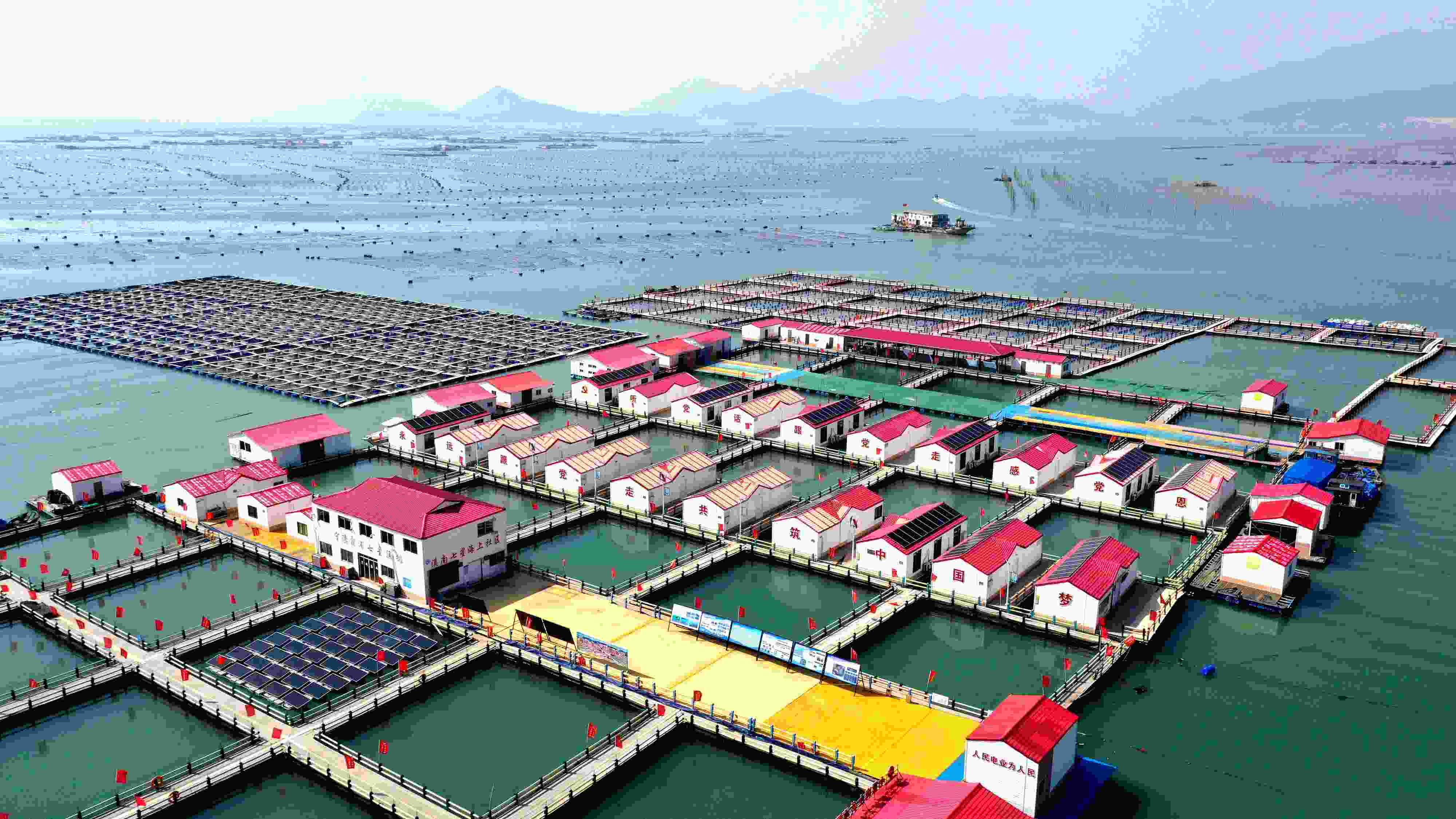 2024年3月20日，福建省寧德市，霞浦縣溪南鎮(zhèn)七星村漁排養(yǎng)殖示范區(qū)，漁民駕駛養(yǎng)殖船進(jìn)行海參養(yǎng)殖作業(yè)。