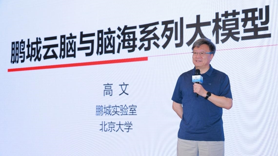 高文院士做大會(huì)特邀報(bào)告。主辦方供圖